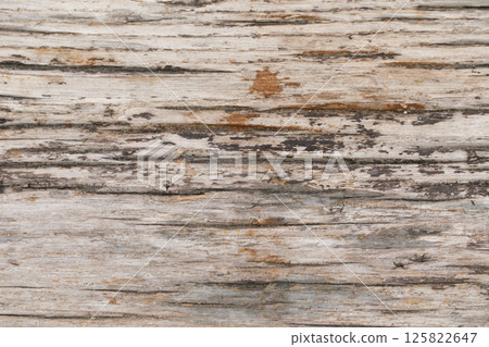 Weathered wood grey color background 125822647