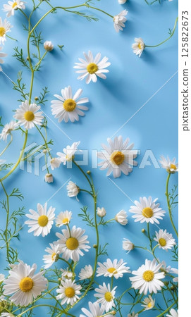 Chamomile flower decoration spring blossom for wallpaper, backdrop and background 125822673