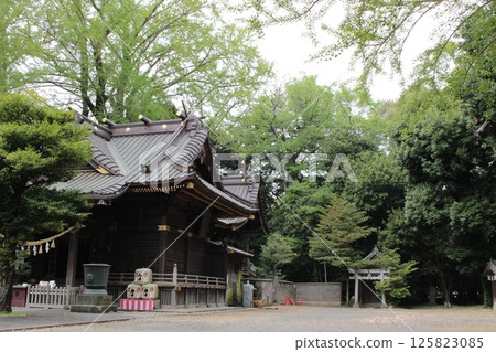 Kasukabe City, Saitama Prefecture, Tamashiki Shrine's worship hall 125823085