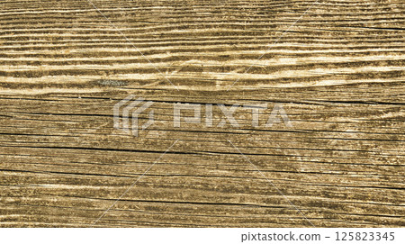 Wood Textured Background Wood Textured Background 125823345