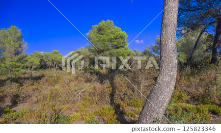 Peninsula de Llevant Natural Park, Spain Peninsula de Llevant Natural Park, Spain 125823346