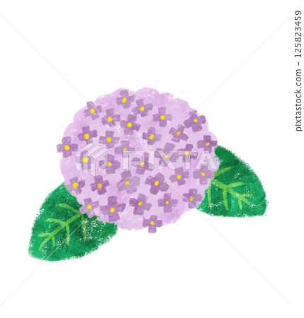 Simple crayon-style hydrangea purple Simple crayon-style hydrangea purple 125823459