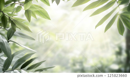 Beautiful blurred background of an exotic beach with leafy branches and sunlight 125823660