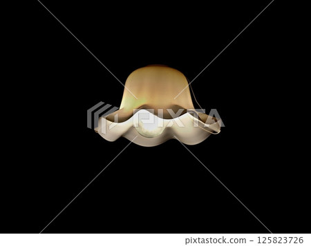 Scenery of the former Nozaki family residence 125823726