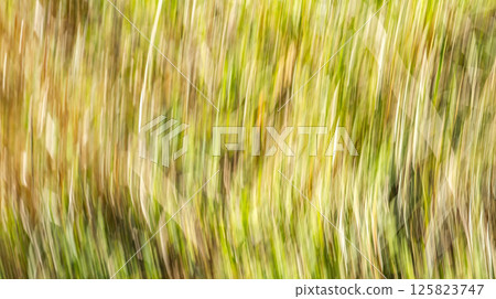 Blurred Abstract Background 125823747
