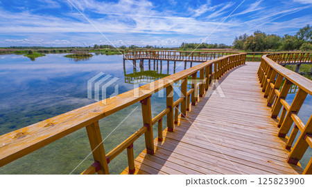 Tablas de Daimiel National Park, Spain Tablas de Daimiel National Park, Spain 125823900