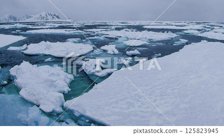 Drift floating Ice, Arctic Drift floating Ice, Arctic 125823945