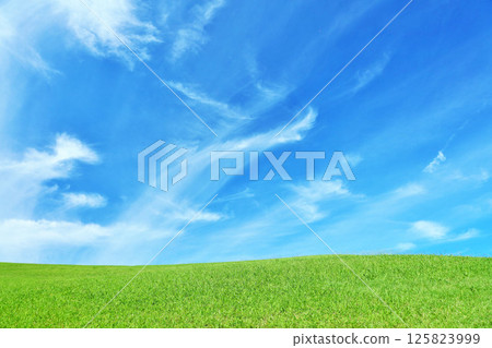 秋天的藍天和美麗的草原風光 125823999