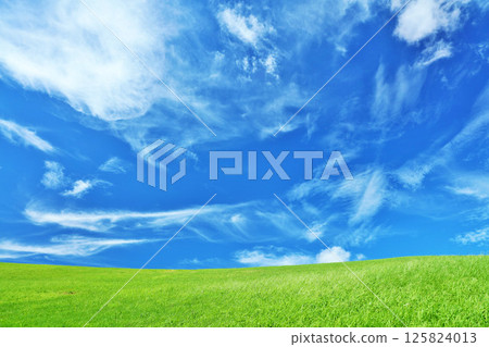 Autumn blue sky and beautiful grassland scenery 125824013