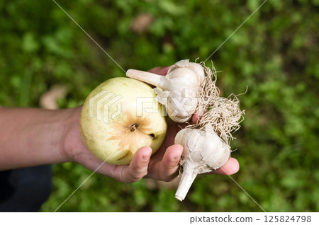 Hand holding an apple and garlic bulbs against a green background. 125824798