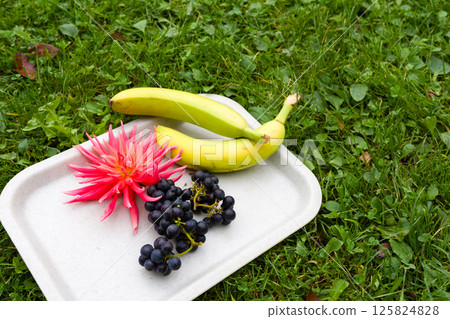 Fruits and flower on a tray in the grass Fruits and flower on a tray in the grass 125824828