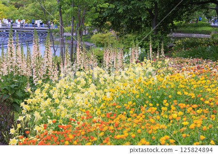 名花之裡：春花盛開 125824894
