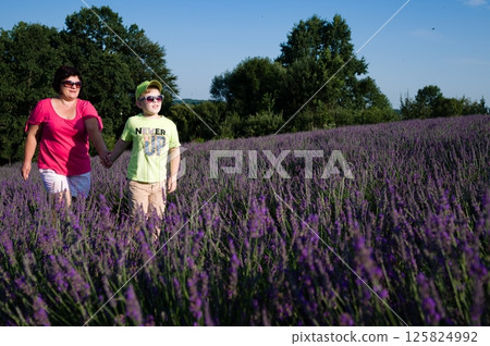 Grandmother and grandson stroll through a vibrant lavender field on a sunny day. Grandmother and grandson stroll through a vibrant lavender field on a sunny day. 125824992