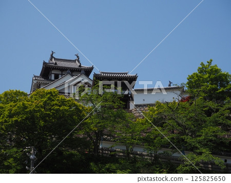 福知山城〉 福知山城〉 125825650