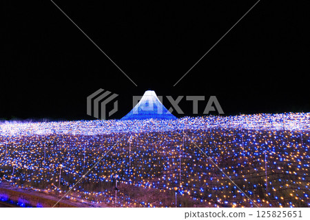 Nabana no Sato Illumination Mount Fuji 125825651