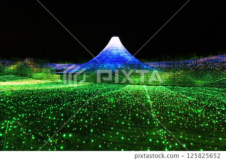 名花之裡 富士山燈飾 名花之裡 富士山燈飾 125825652