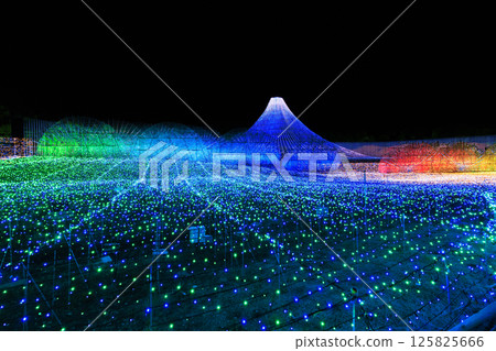名花之裡 富士山燈飾 125825666