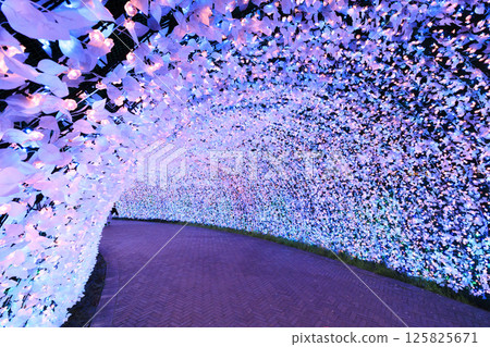 Nabana no Sato Illumination Mount Fuji 125825671