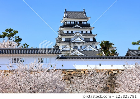 [廣島縣] 春天的櫻花盛開的福山城（重建後）福山城櫻花節 125825781