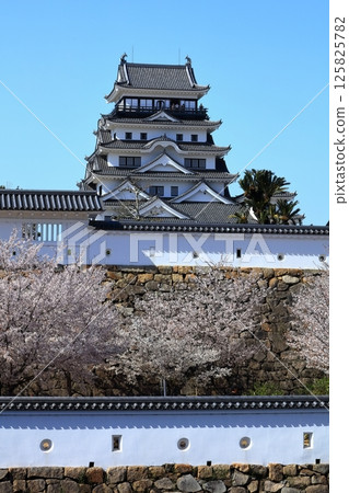 [廣島縣] 春天的櫻花盛開的福山城（重建後）福山城櫻花節 125825782