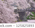 Flower rafts and the main gate of Kajo Park 125825893