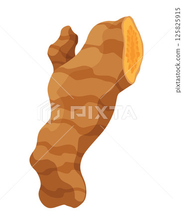 Turmeric root plant, icon. Natural flavor, herbal spice, hand drawn sketch illustration. Detox food ingredient. Vector illustration isolated on white background Turmeric root plant, icon. Natural flavor, herbal spice, hand drawn sketch illustration. Detox food ingredient. Vector illustration isolated on white background 125825915