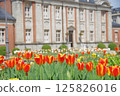 Spring tulip fields at Bunshokan 125826016