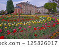 Spring tulip fields at Bunshokan 125826017