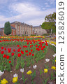Spring tulip fields at Bunshokan 125826019
