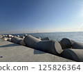 Scenery with the Akashi Kaikyo Bridge_2 125826364