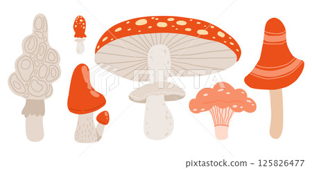 Variety of red and white mushrooms with caps and stems, including toadstools and fungi, ideal for woodland, botanical, and autumn nature art Variety of red and white mushrooms with caps and stems, including toadstools and fungi, ideal for woodland, botanical, and autumn nature art 125826477