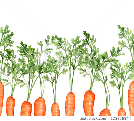 Watercolor seamless border of orange carrots with green tops. Hand drawn pattern Watercolor seamless border of orange carrots with green tops. Hand drawn pattern 125826544