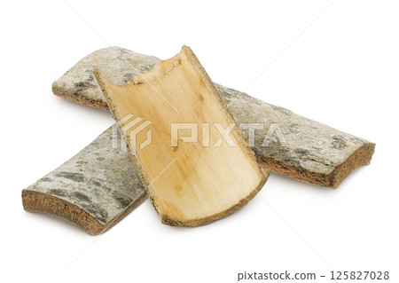 piece of aspen bark isolated on white background. 125827028