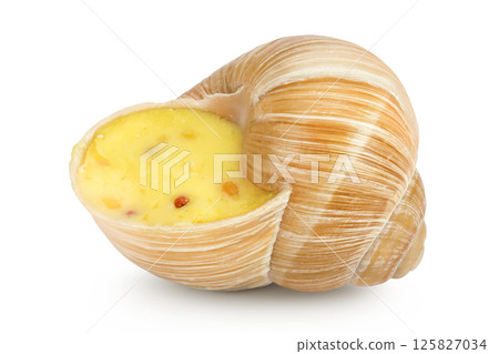 Dijon escargot snail filled with butter, garlic, Dijon mustard and cheese isolated on white background Dijon escargot snail filled with butter, garlic, Dijon mustard and cheese isolated on white background 125827034
