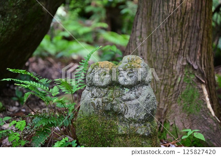 Cute twin Jizo statues Cute twin Jizo statues 125827420
