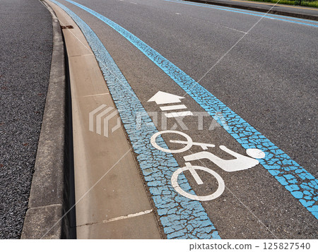 Bicycle lane (Mihama Ward, Chiba City) 125827540