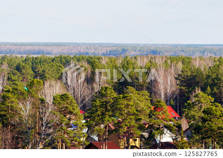 Lush forest landscape with vibrant rooftops near the edge of the wilderness in early spring 125827765