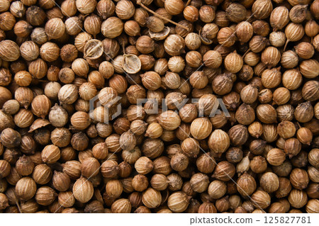 Dried coriander seeds background. Top view 125827781