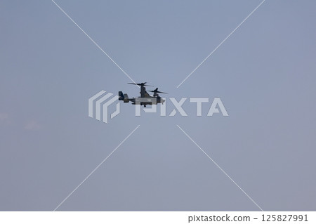 Flight of Osprey 125827991