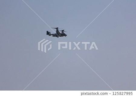 Flight of Osprey 125827995