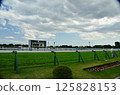 Racecourse  125828153