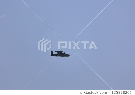 Hawkeye's Flight: Airborne Guard Hawkeye's Flight: Airborne Guard 125828265