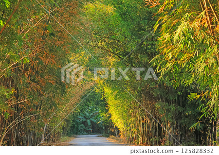 Namkat Yolapa, full of nature 125828332