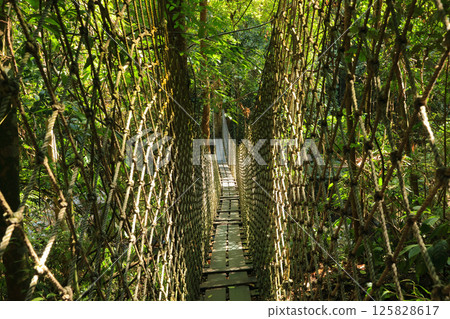 充滿自然氣息的 Namkat Yolapa 125828617