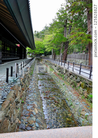 Izumo Taisha場地 125828827