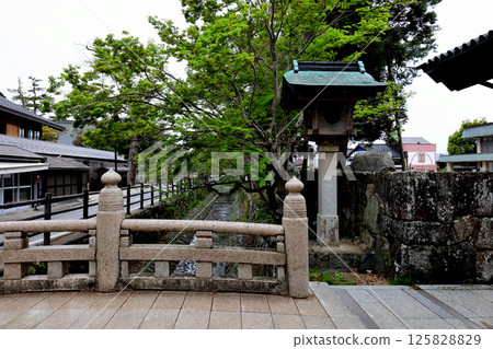 Izumo Taisha場地 Izumo Taisha場地 125828829