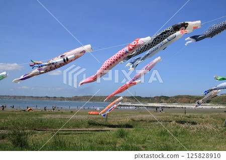Choshi City Naarai Beach Byobugaura Carp streamers Choshi City Naarai Beach Byobugaura Carp streamers 125828910