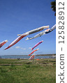 Choshi City Naarai Beach Byobugaura Carp streamers 125828912