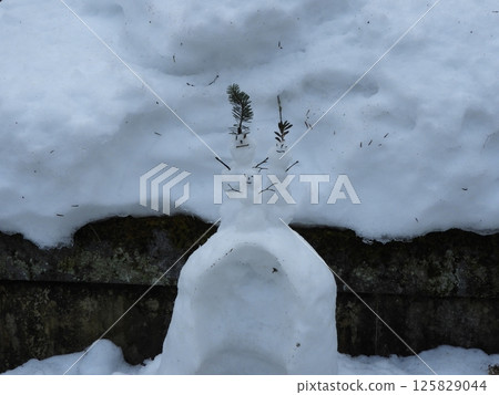 一個雪人站在寂靜的冬天裡 一個雪人站在寂靜的冬天裡 125829044