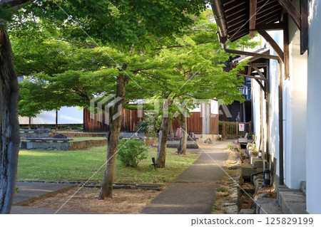 卯建通（德島縣美馬市南町脅町，國家重要傳統建築物群保護區） 125829199